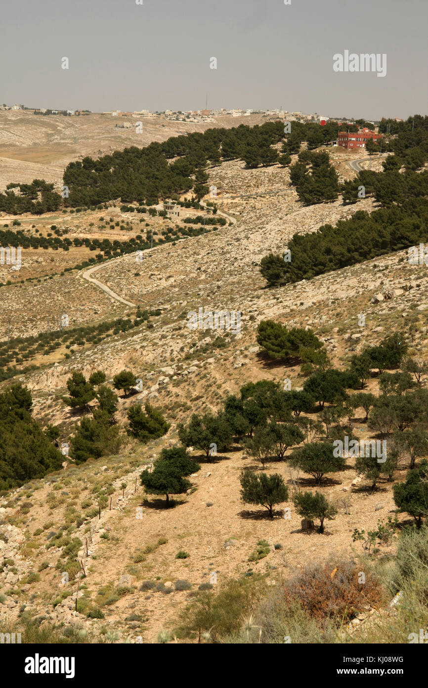 Valley of Moses' Spring (Wadi Ayun Musa), viewed from Mount Nebo. The valley runs at right angles to the Jordan Valley. Moses was buried nearby Stock Photo