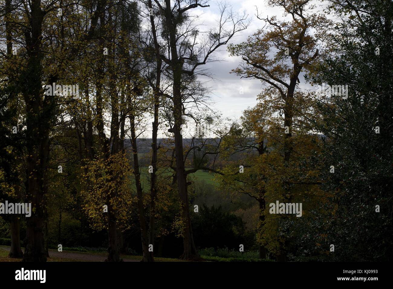Chiltern Estate, National Trust Stock Photo Alamy