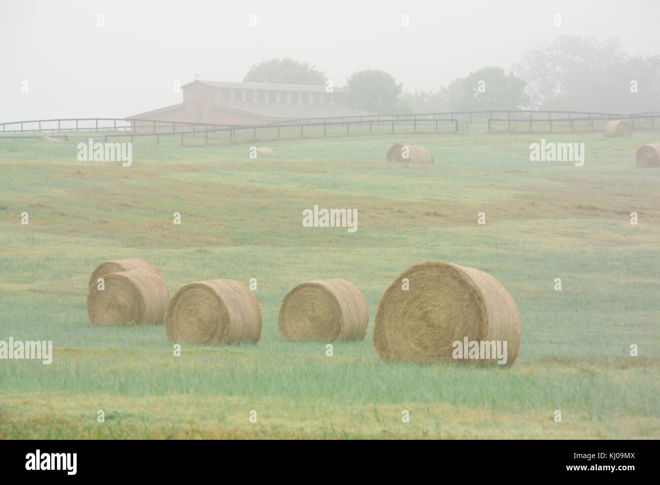 ROUND HAY BALES IN FOGGY FIELD Stock Photo - Alamy