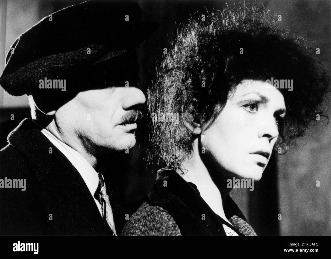 BERLIN BERLIN DVD 86話 13枚セット Berlin Alexanderplatz - a 14-part West German television