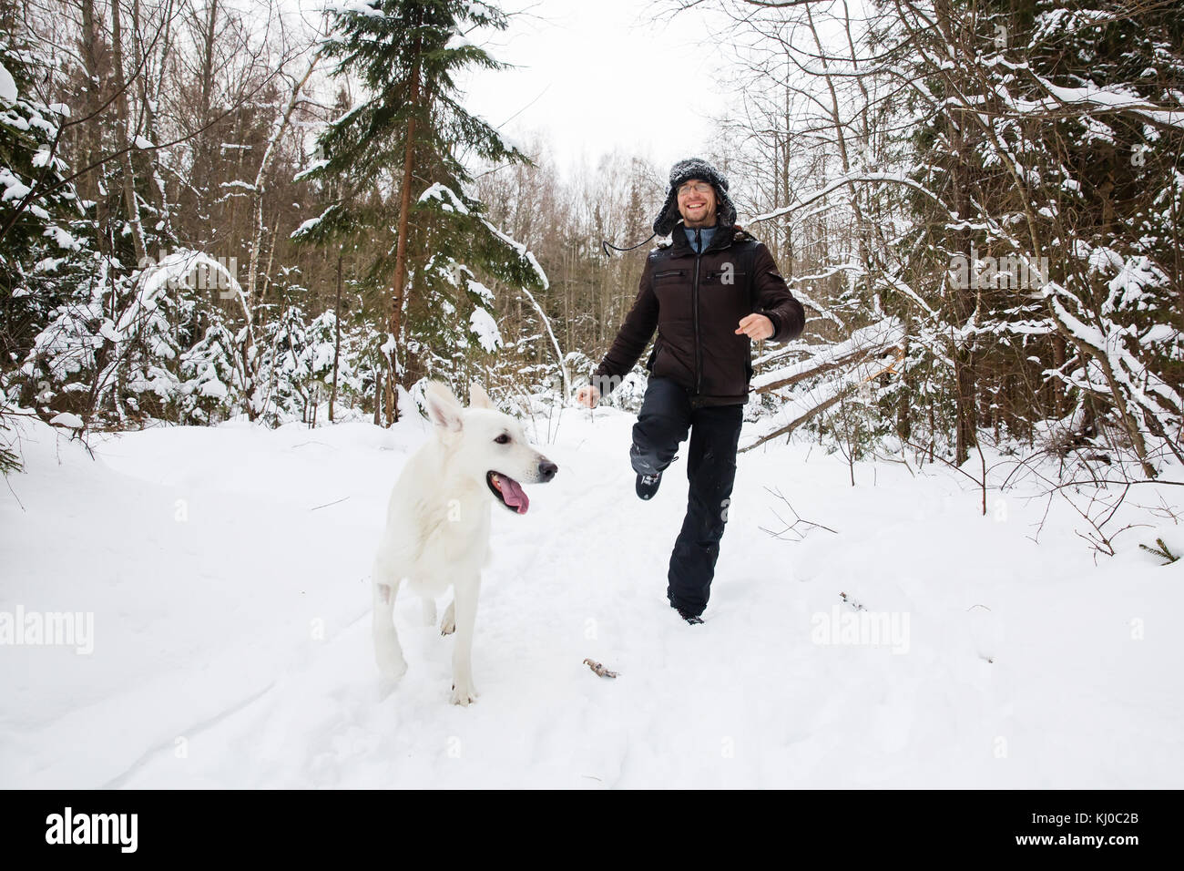 Young man runing in the forest with White Swiss shepherd dog Stock ...