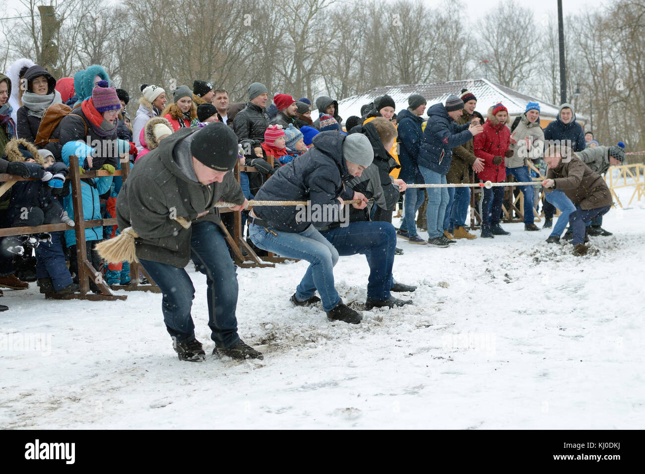 23.02.2017.Russia.Saint-Petersburg.Youth fun in dragging the rope ...