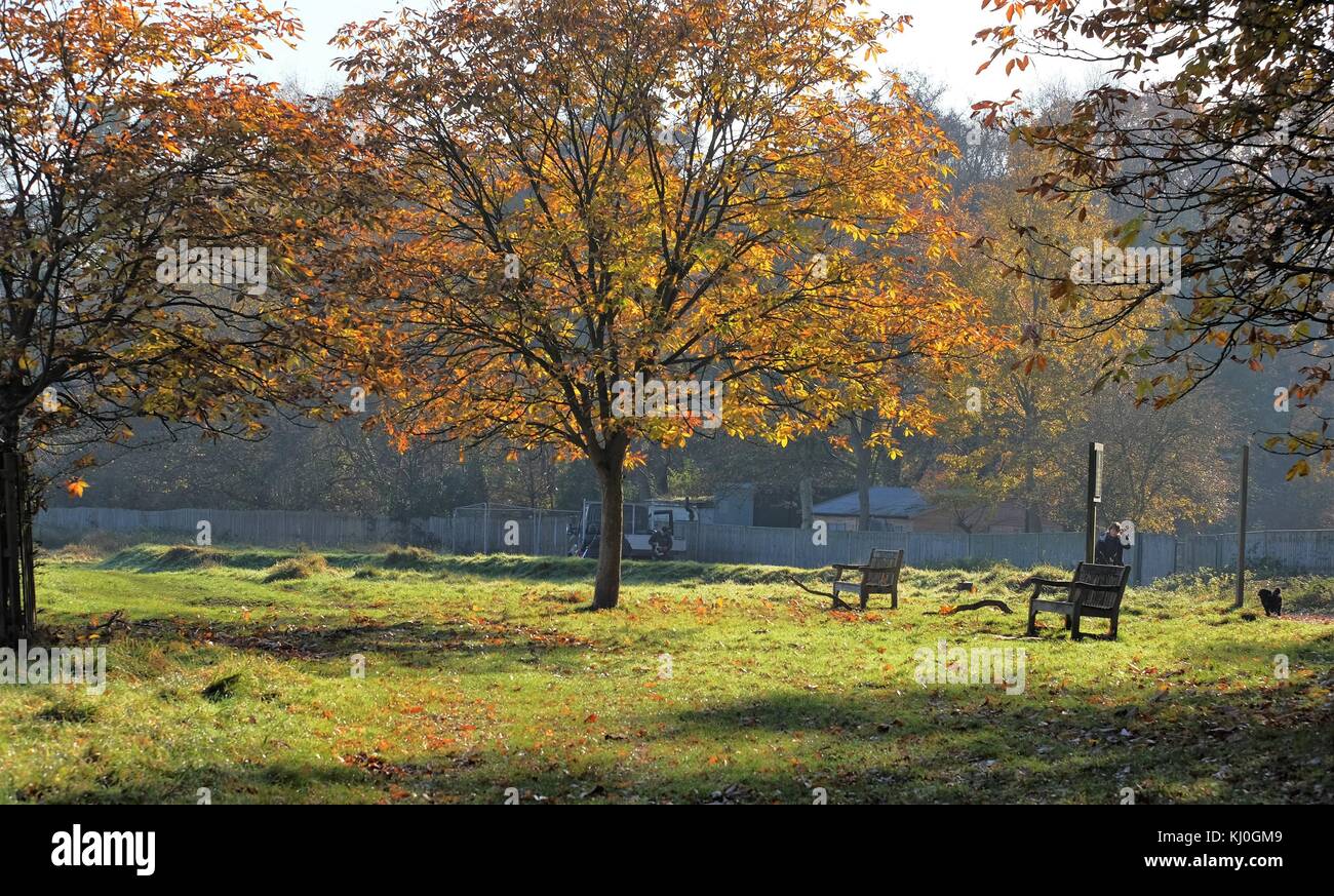 can you cycle in bushy park