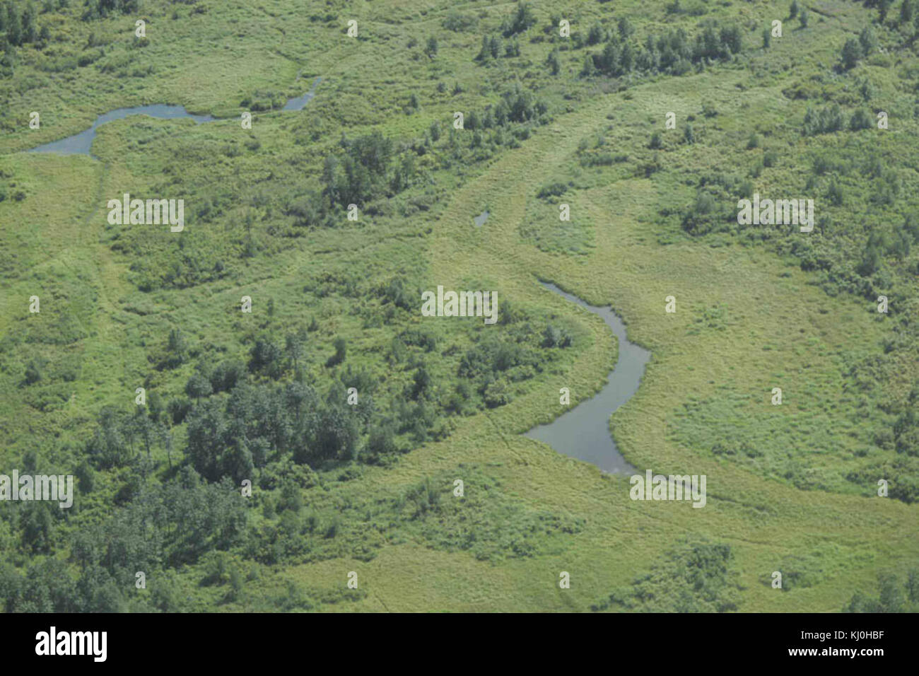 Green fields aerial photography Stock Photo - Alamy