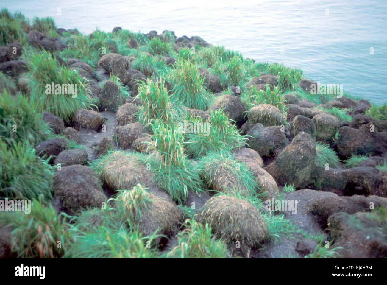 This photograph captures the contrast between lush green grass and the ...