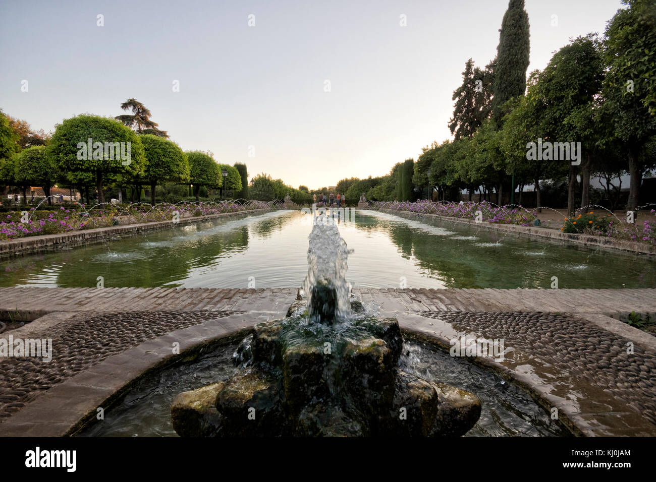 Wide angle view from the main pond from Alcazar de los reyes católicos gardens in Córdoba (Andalucia, Spain). Stock Photo
