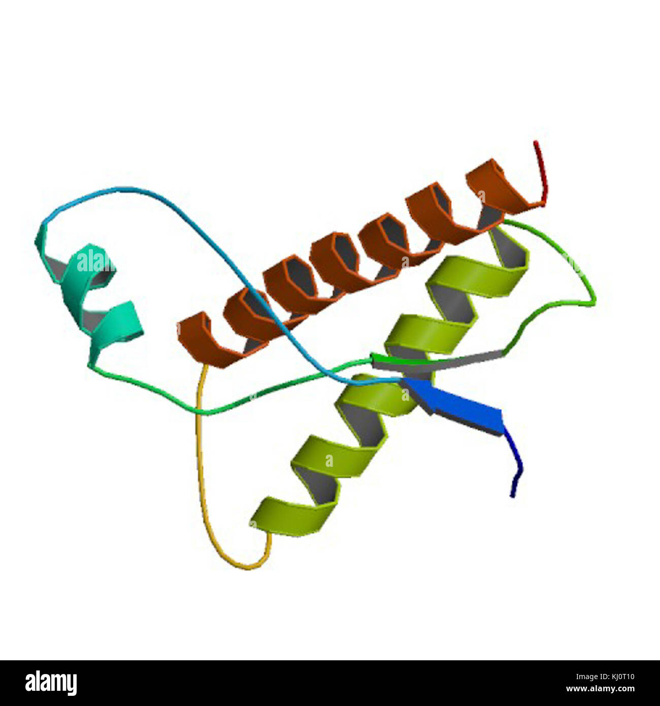 Prion protein hi-res stock photography and images - Alamy