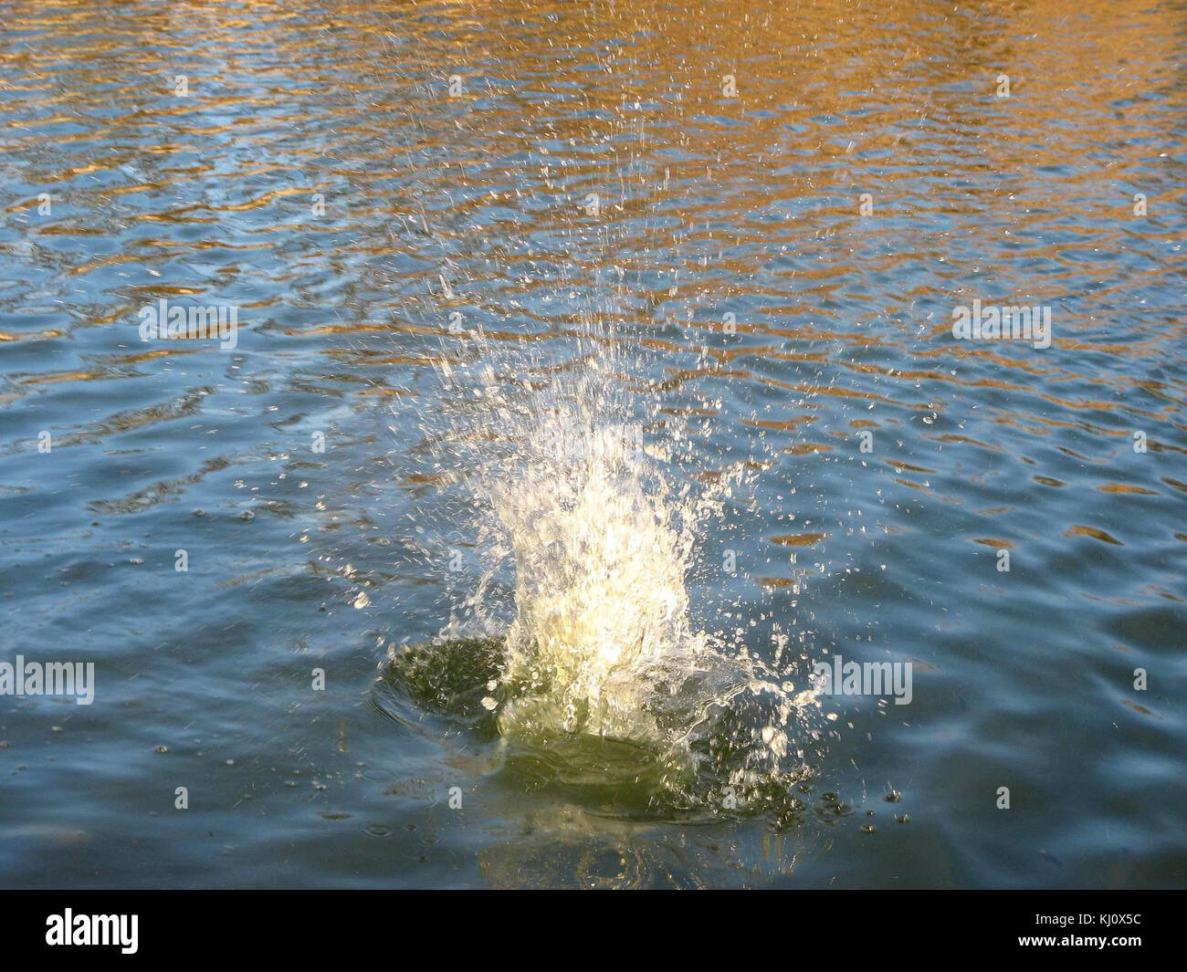 Falling in water Stock Photo - Alamy