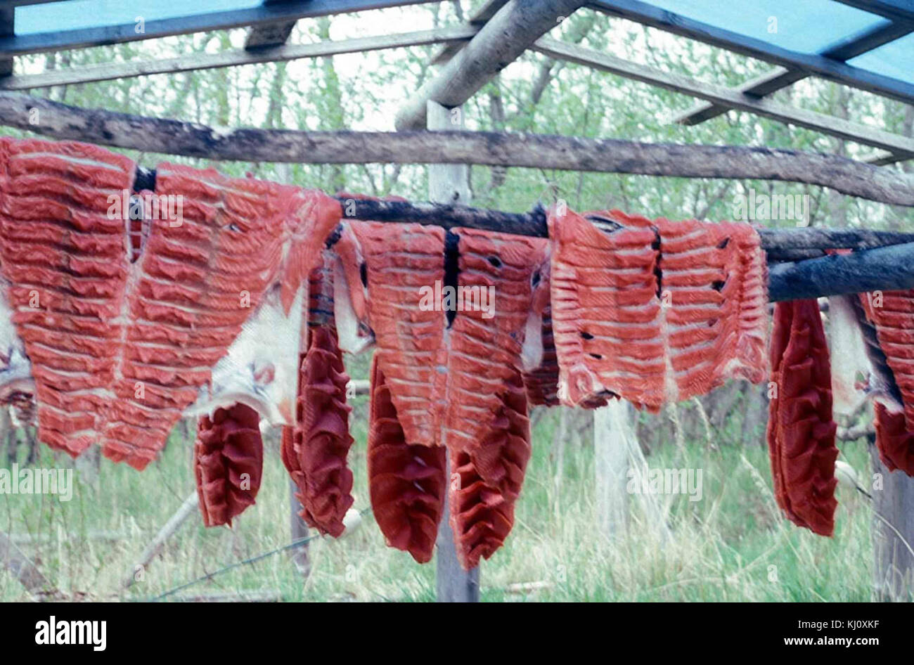 Northwest Coast Traditional Preservation Methods Northwest Coast Traditional Preservation Methods