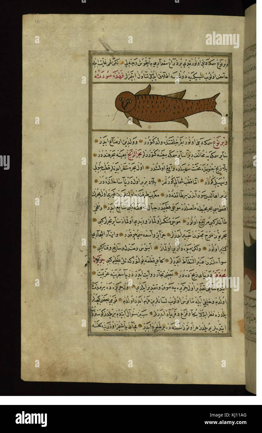 Muhammad Fish Muhammad ibn Muhammad Shakir Ruzmah-'i Nathani - A Fish with the Head ...