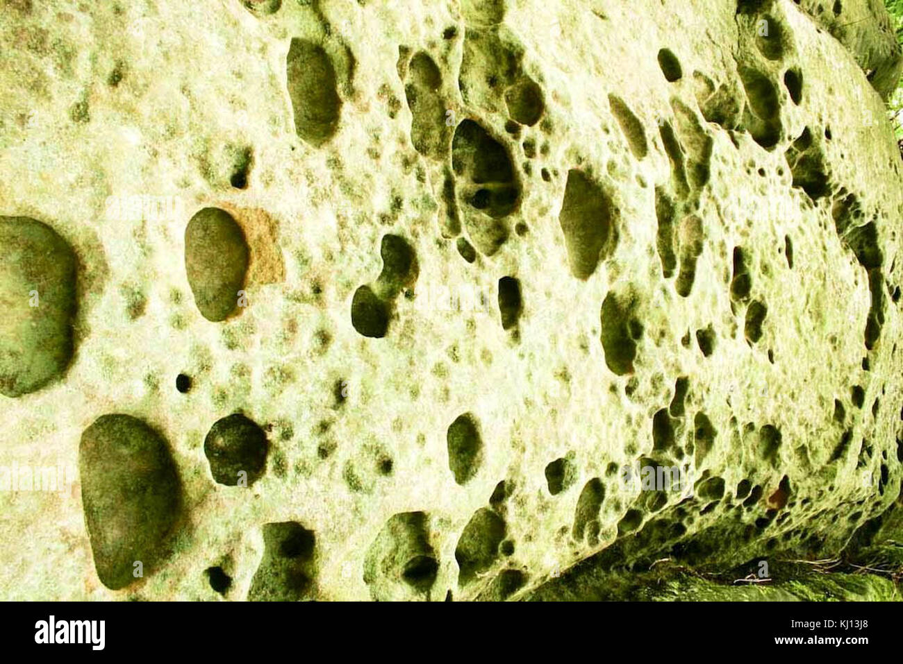 Underwater rock sea floor hi-res stock photography and images - Alamy