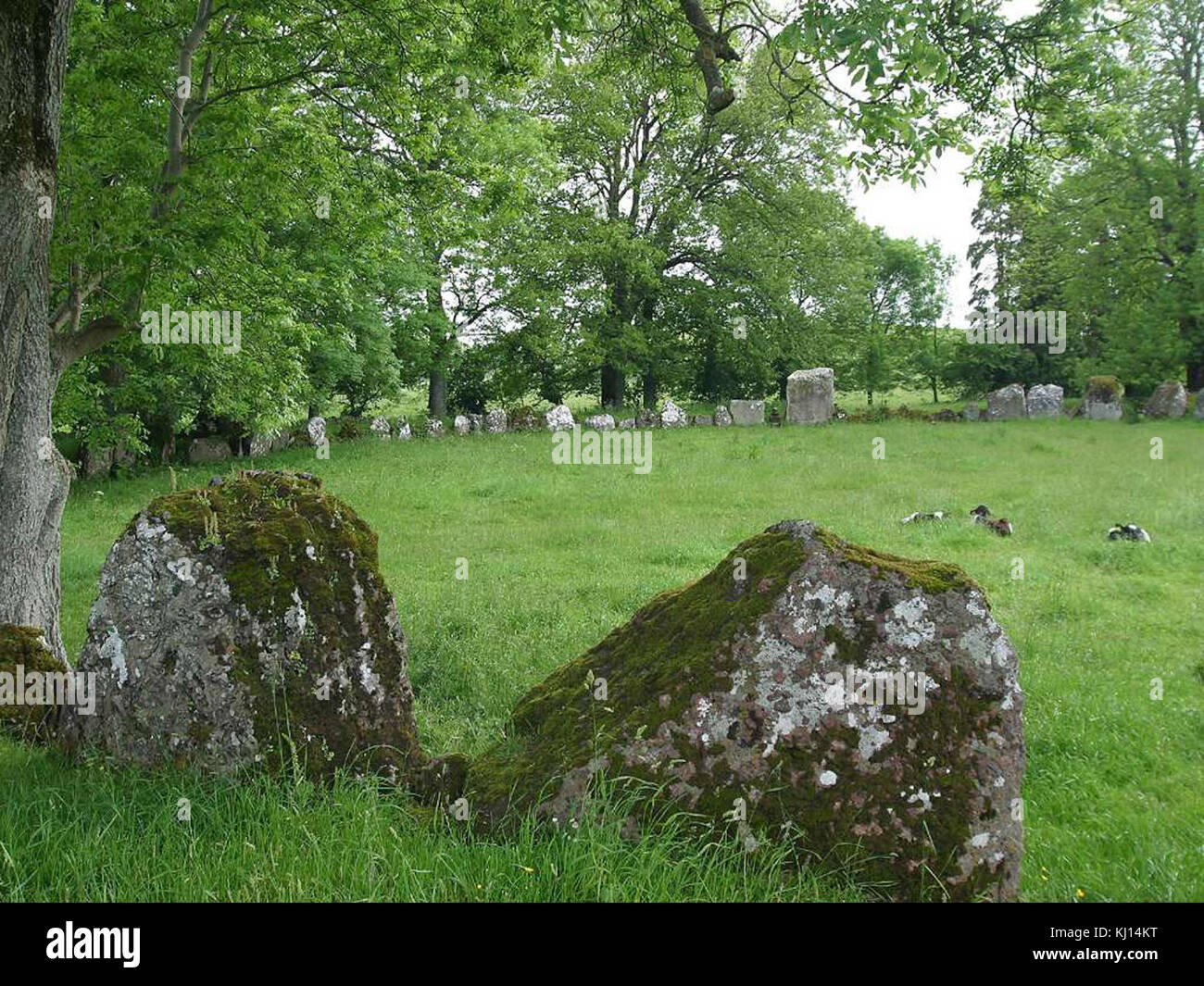 Grange stone circle Stock Photo - Alamy