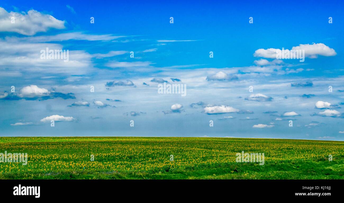 landscape field mountain expanse Stock Photo