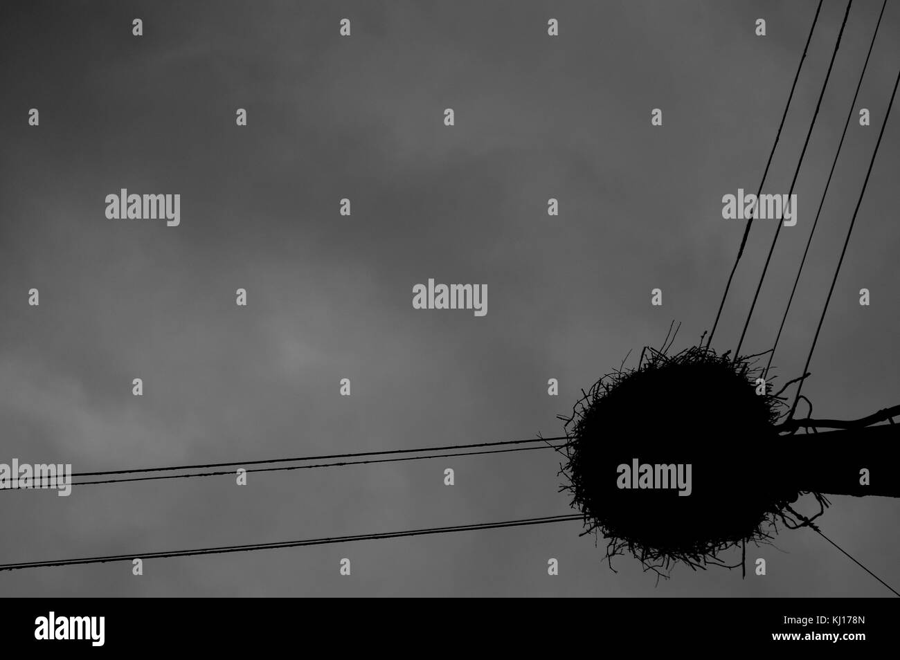 Electrical Wire Outdoor at Neville Huntley blog