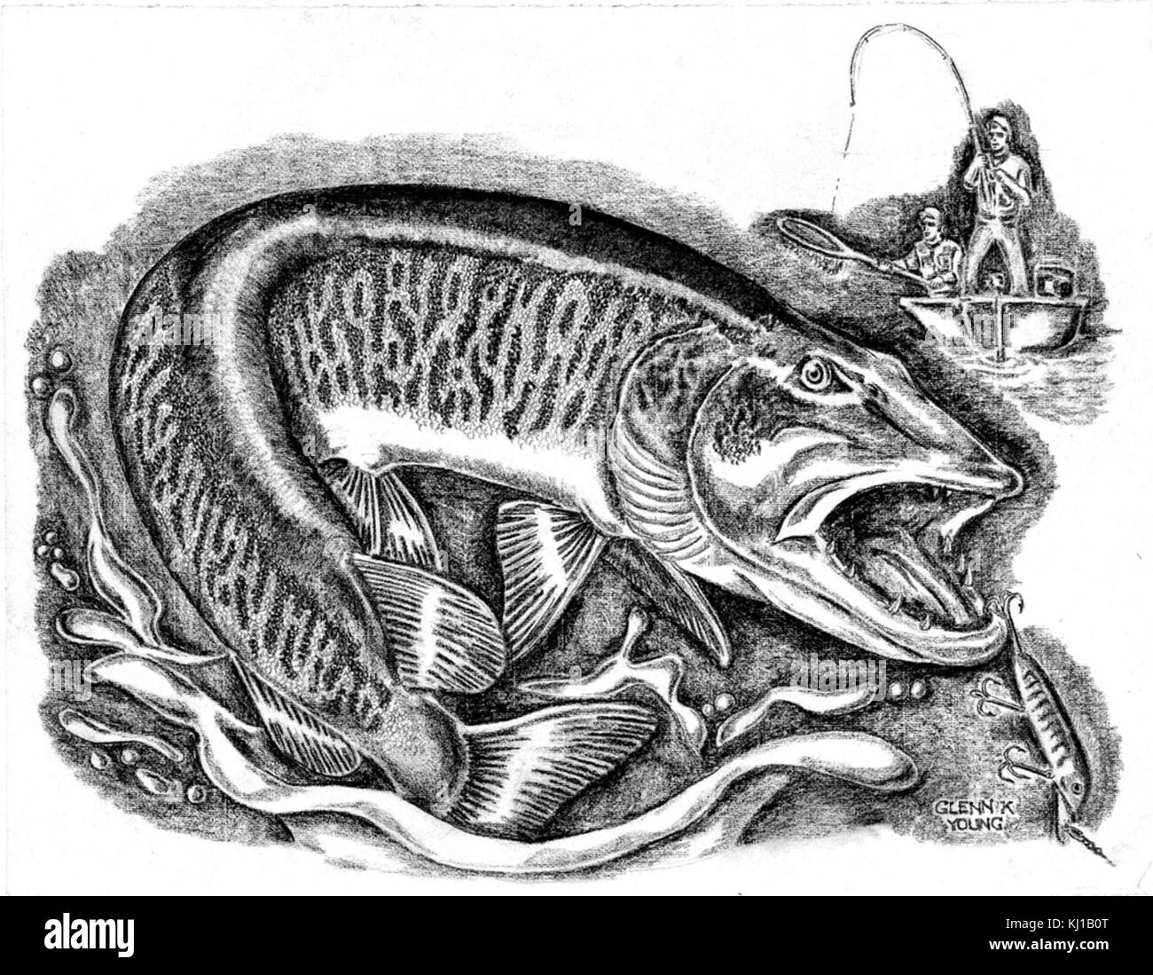 Muskie fish esox masquinongy and fisherman line art drawing on paper Stock Photo