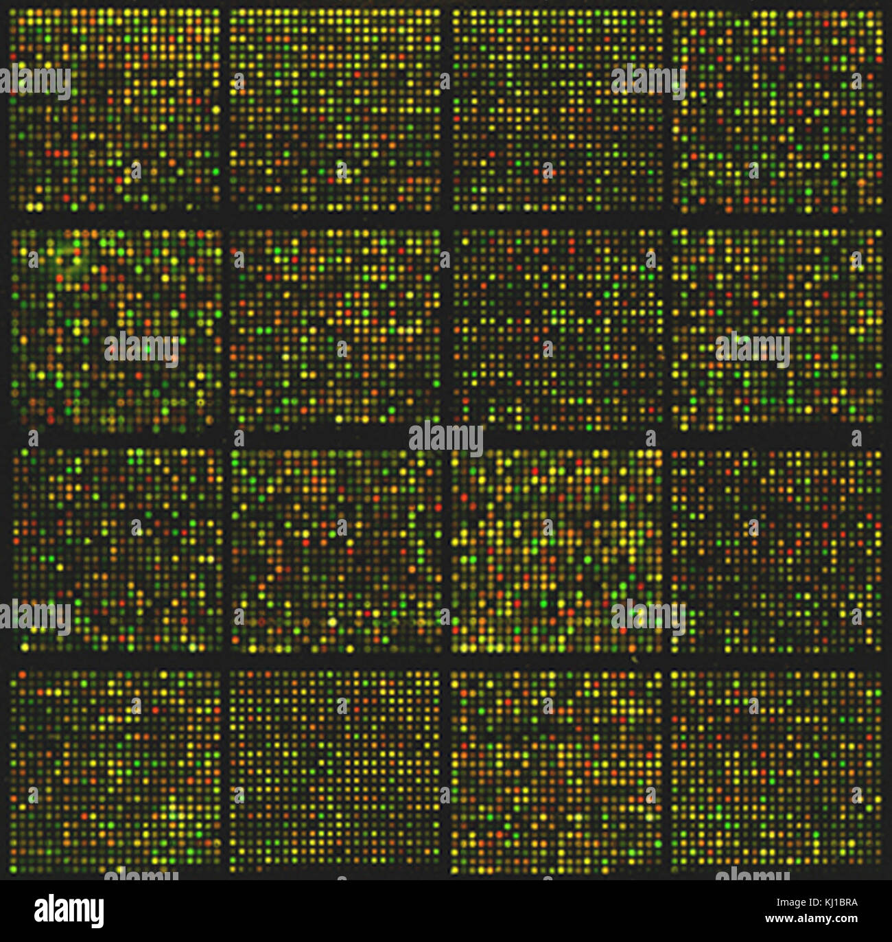 Microarray hi-res stock photography and images - Alamy
