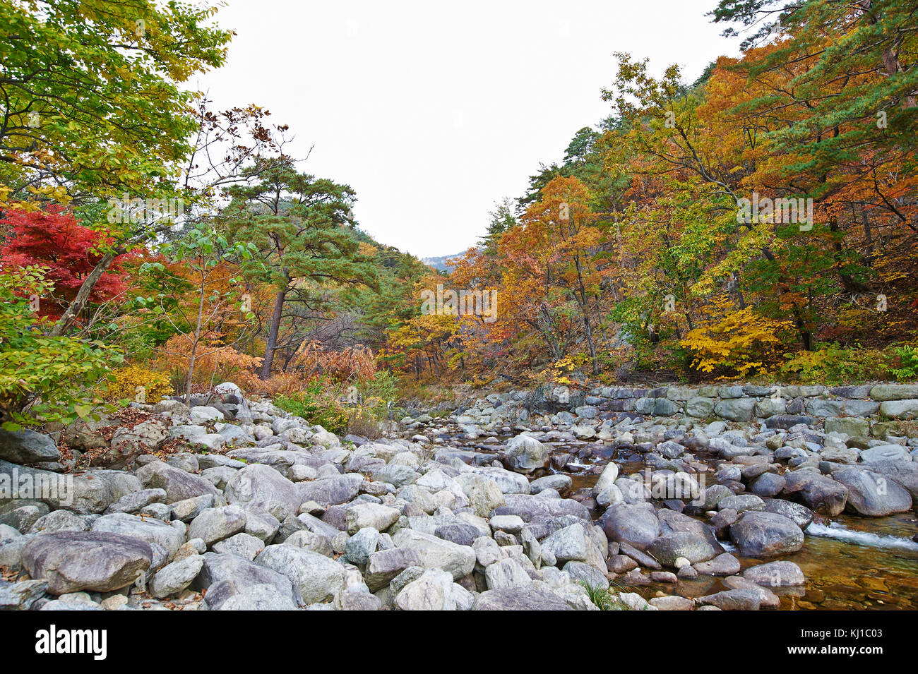 Magical autumn foliage at Soraksan National Park Stock Photo