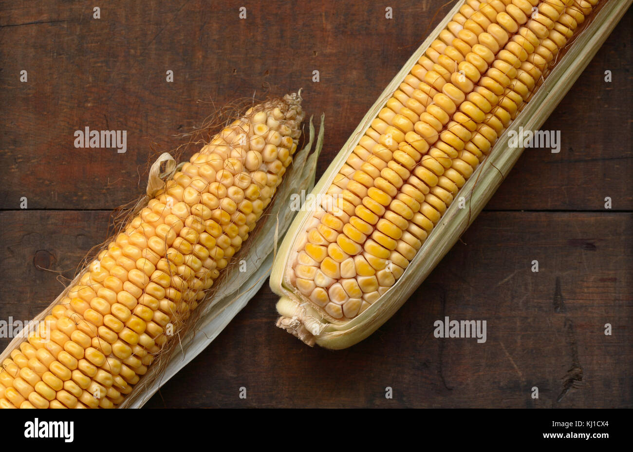 Two raw corncobes lying on wooden background Stock Photo