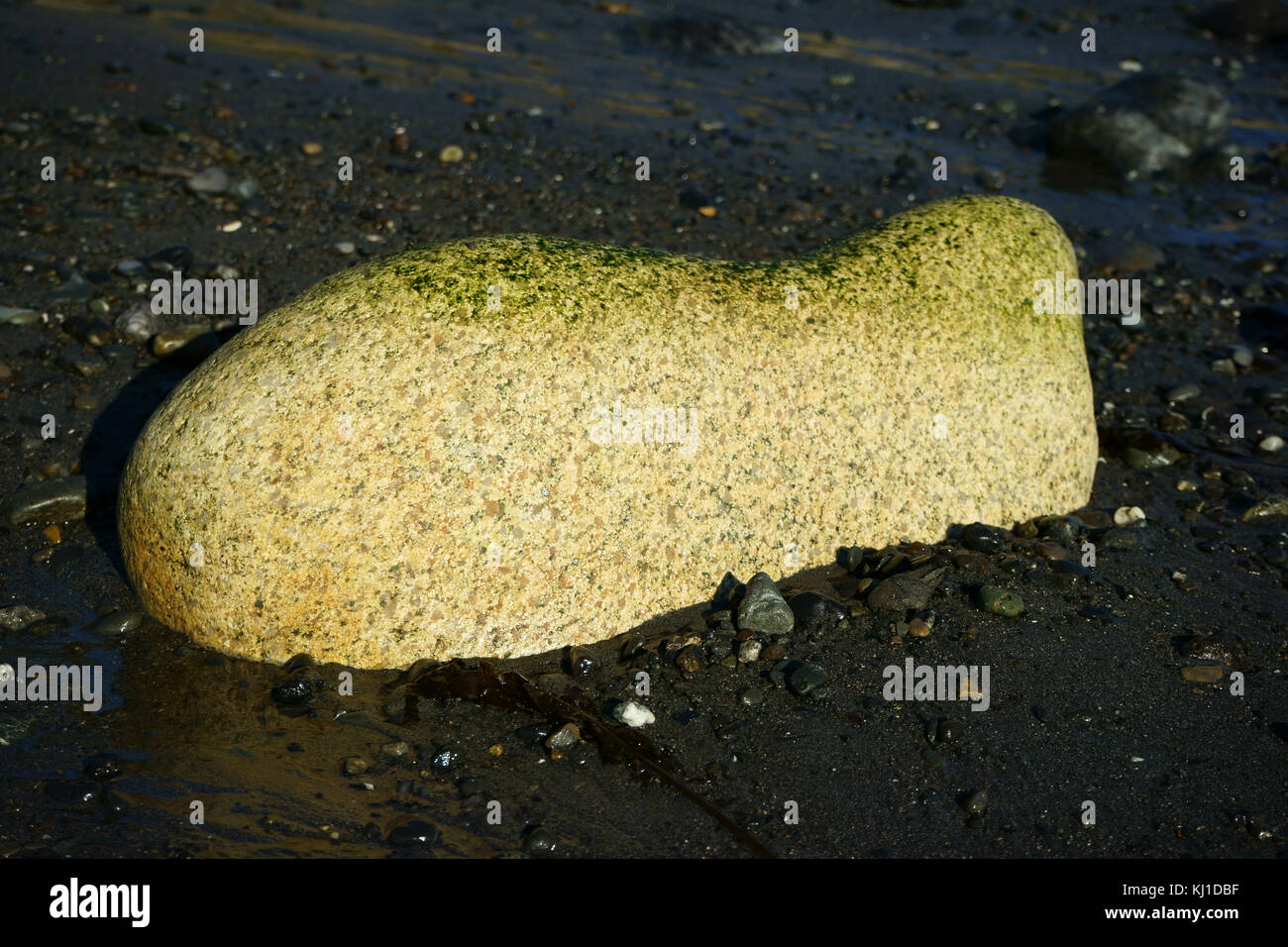 Whale shaped boulder on tidal beach of Cook Inlet, Kenai Peninsula, Alaska Stock Photo