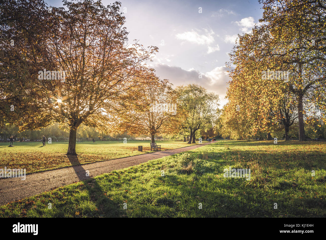 Classic autumn landscape with colorful leaves and the sunshine streaming through the trees. Stock Photo