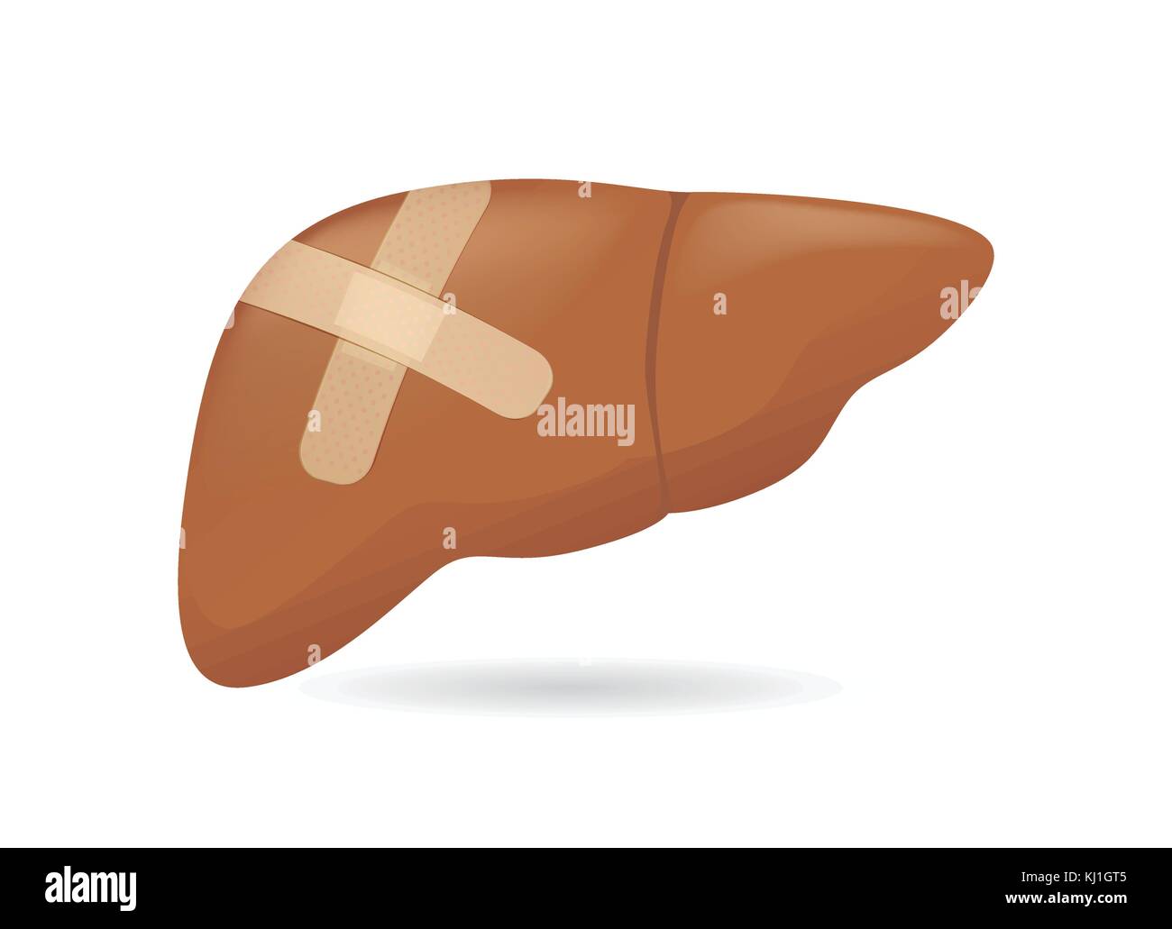 Human liver with first aid Bandages on isolated. Stock Vector