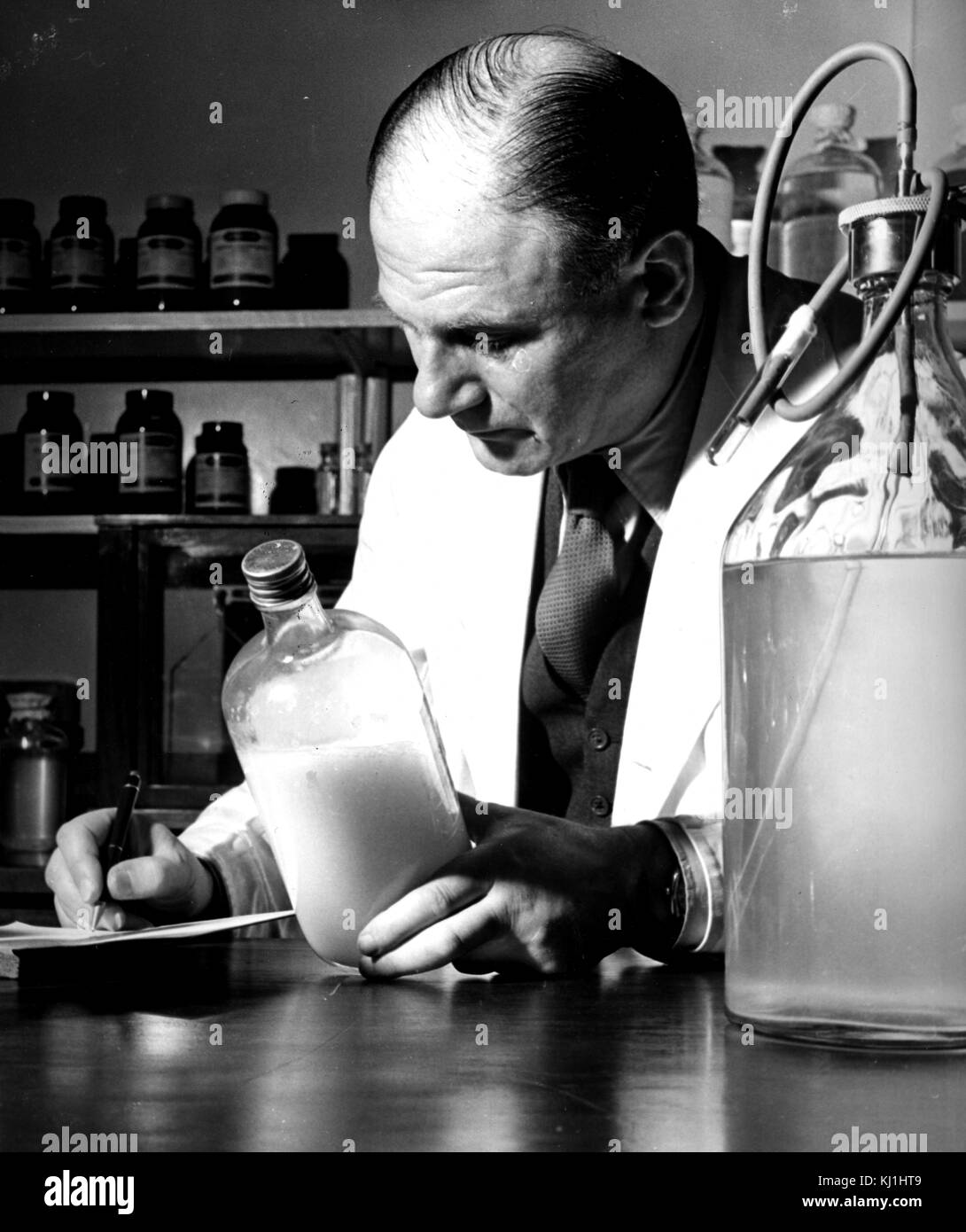 Photograph of Dr. F. Himmelweit, Director of the Department of Virus Research at the Wright-Fleming Institute at work. Dated 20th Century Stock Photo