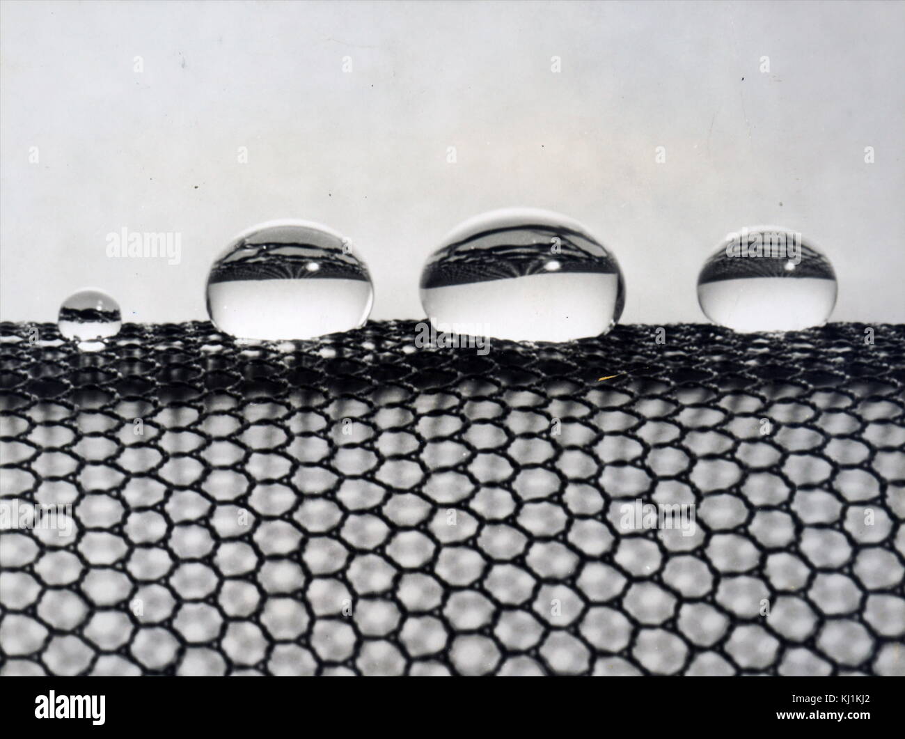 Photograph of water droplets resting on the wide meshes of DRIL-SIL silicone finished nylon net. Dated 20th Century Stock Photo