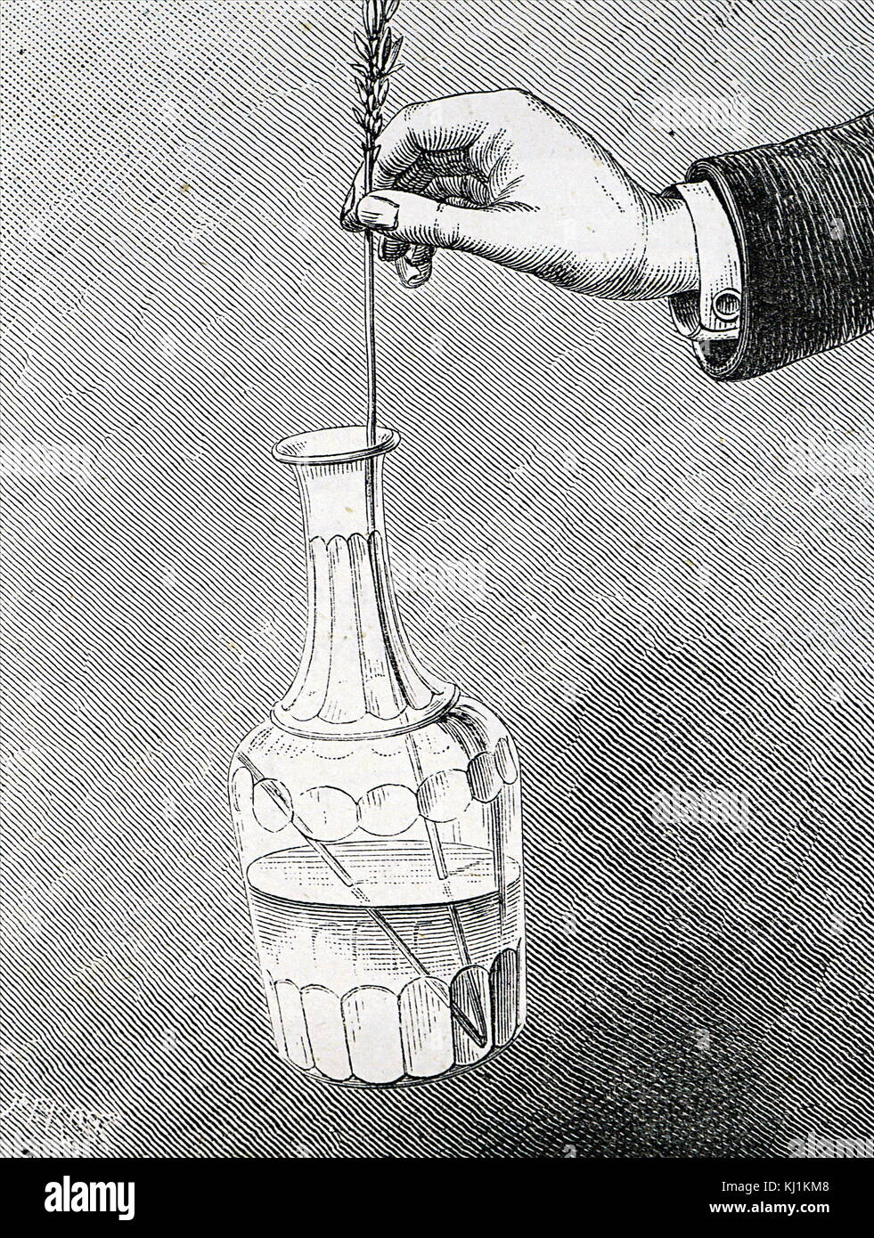 Gravity experiment hires stock photography and images Alamy