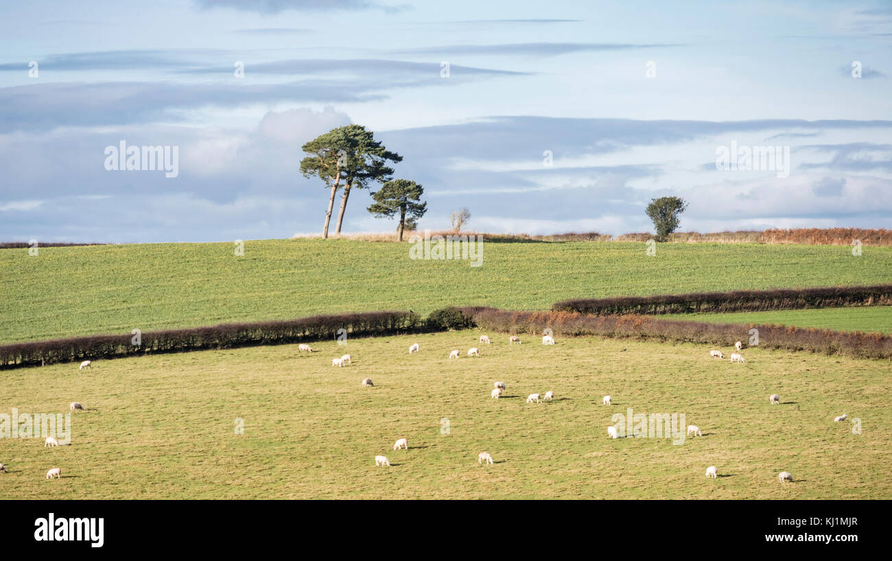 Welsh border country near the small rural town of Clun, Shropshire