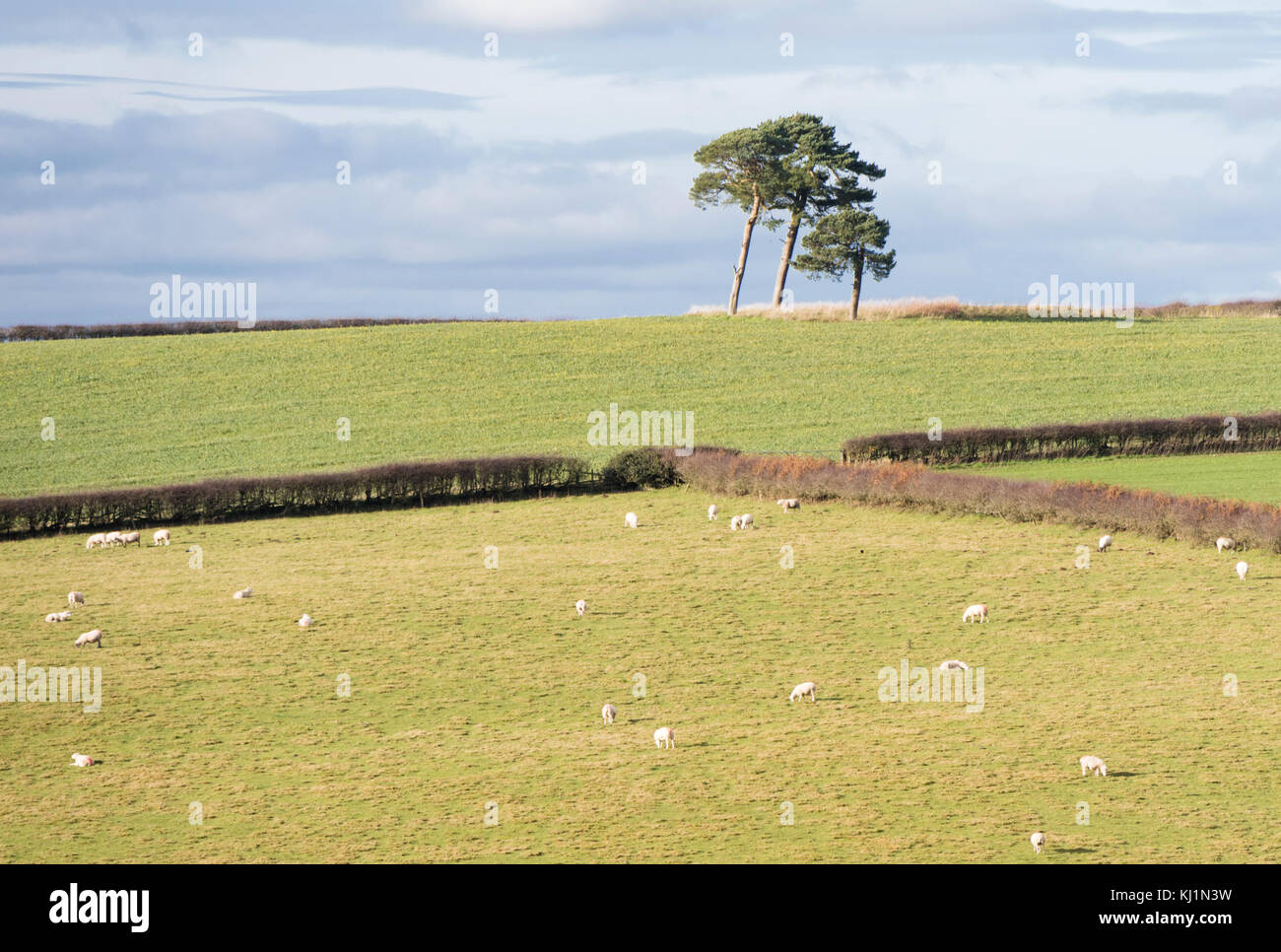 Welsh border country near the small rural town of Clun, Shropshire