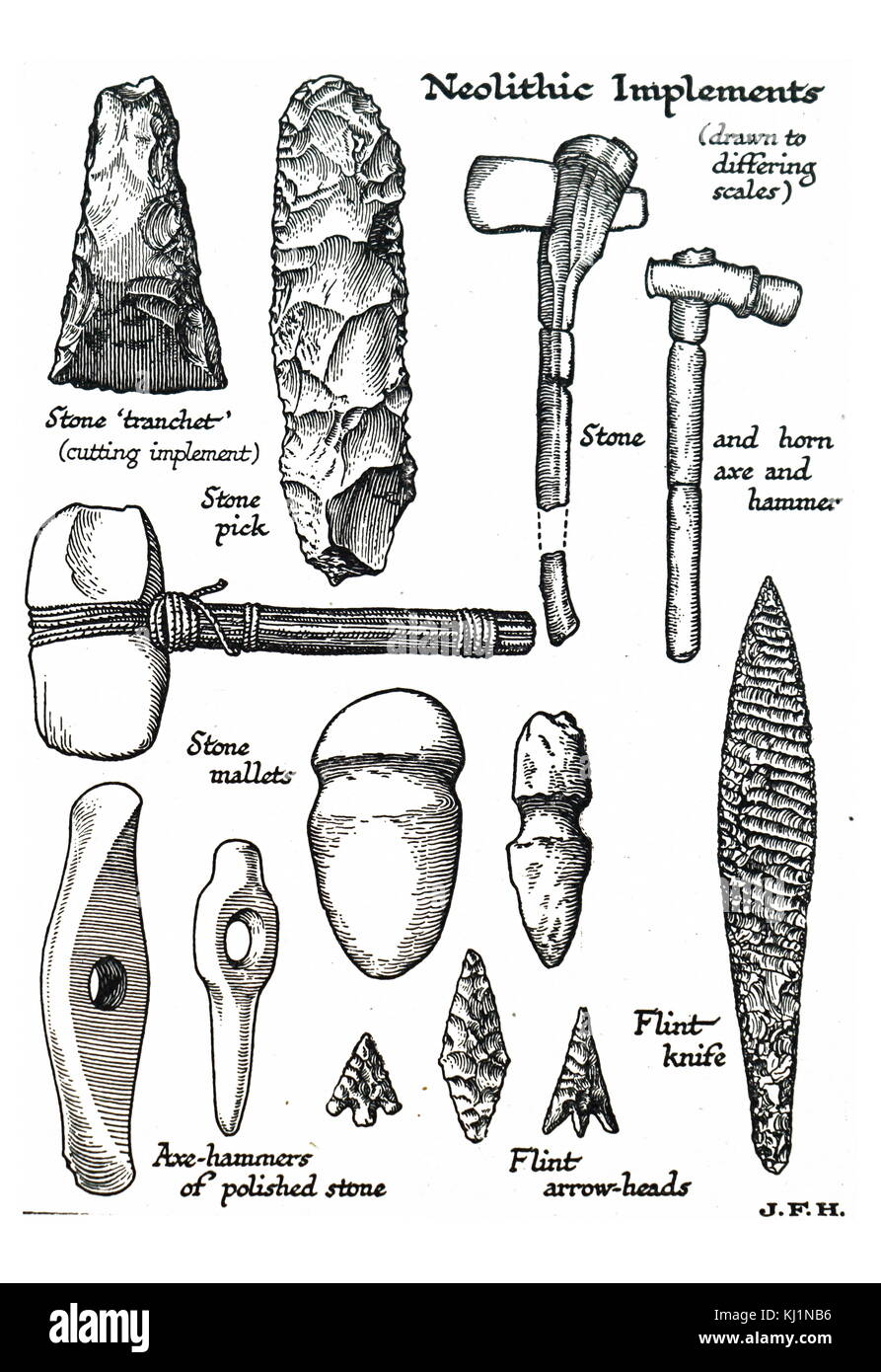 Engraving depicting Neolithic Implements including a stone tranchet, stone pick, stone and horn axe, flint knife, stone mallets, axe-hammers made from polished stone and flint arrow-heads. Dated 19th Century Stock Photo