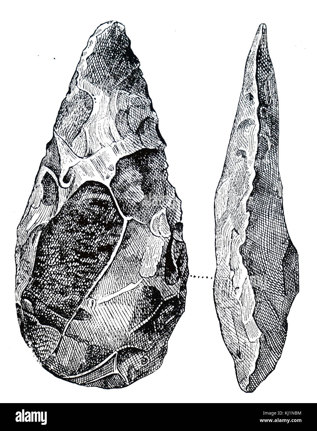Engraving depicting various flint implements. Dated 19th Century Stock ...
