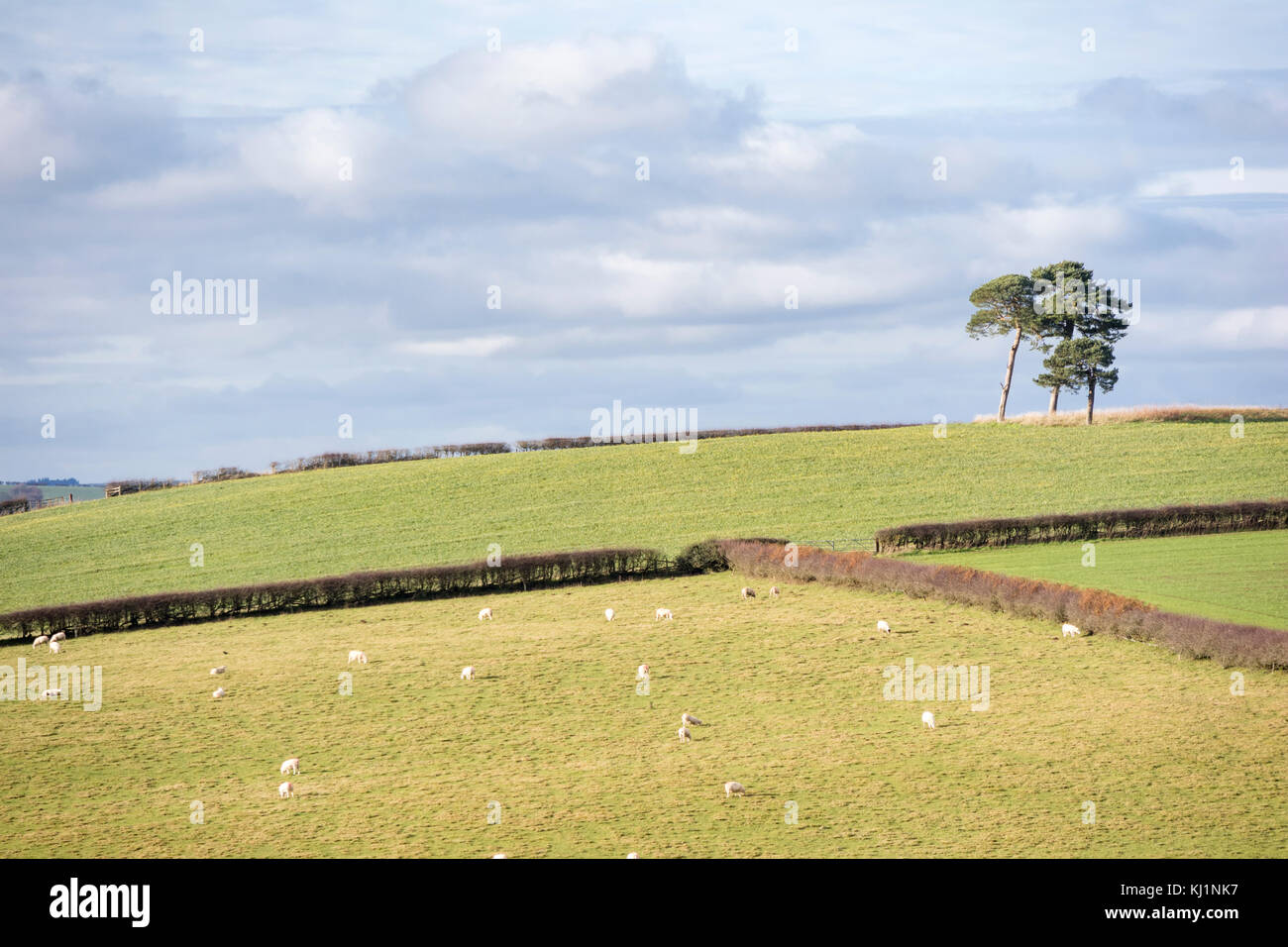Welsh border country near the small rural town of Clun, Shropshire