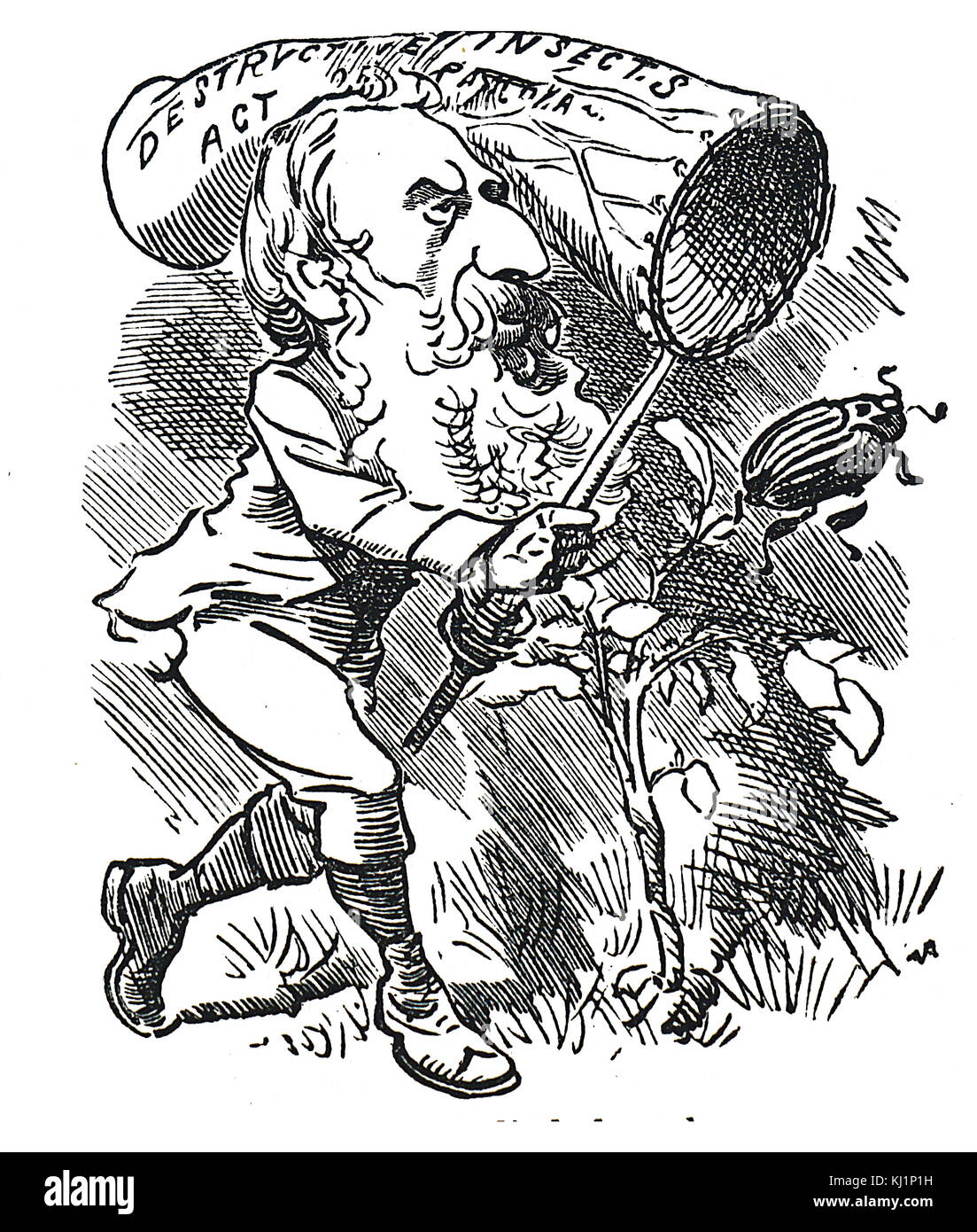 Cartoon depicting a Colorado Beetle: Fear of its spread to Britain led to an Order in Council ordering the destruction of any specimens found. Also pictured is A. J. Mundella. Dated 19th Century Stock Photo