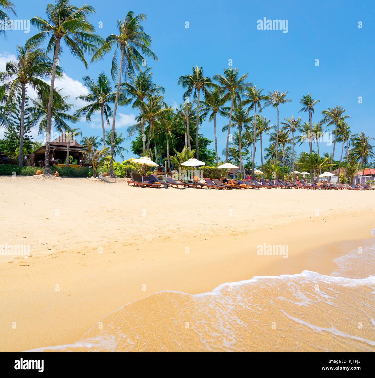 Palm tree resort hi-res stock photography and images - Alamy