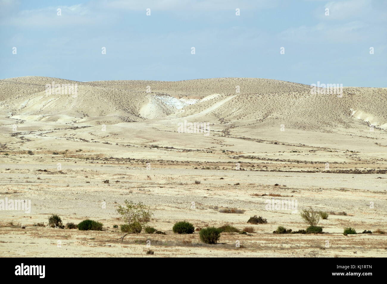 Wadi (dry river bed), and sand dunes in the Negev Desert, Southern Israel Stock Photo Alamy