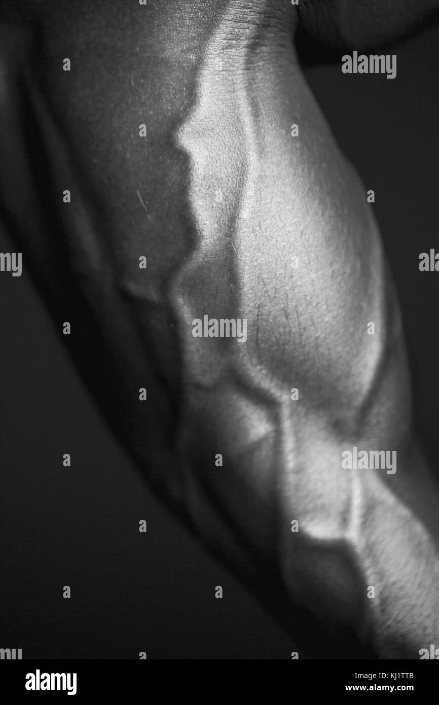 Human Body Forearm in Black and White Stock Photo Alamy