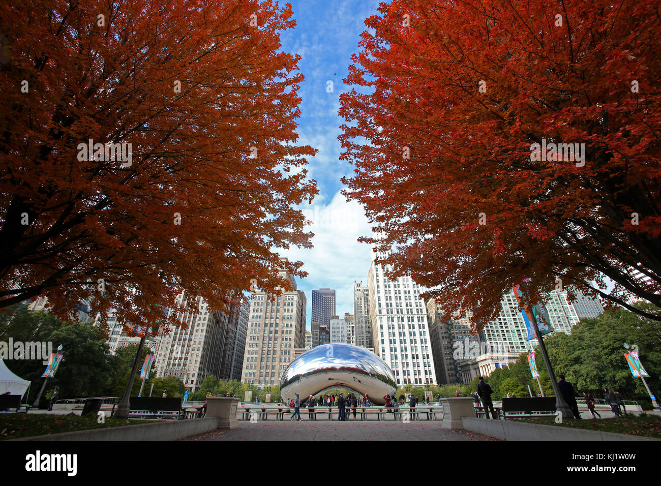 Fall colors and foliage at Millennium Park in Chicago, Illinois Stock