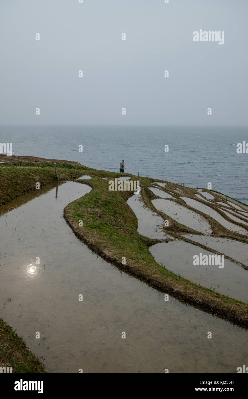 Rice paddies in wajima, Japan Stock Photo