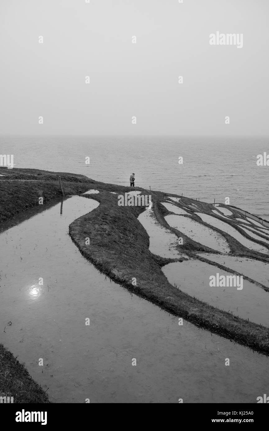 Rice paddies in wajima, Japan Stock Photo