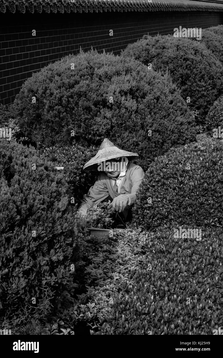 Hsing tian kong gardener hi-res stock photography and images - Alamy