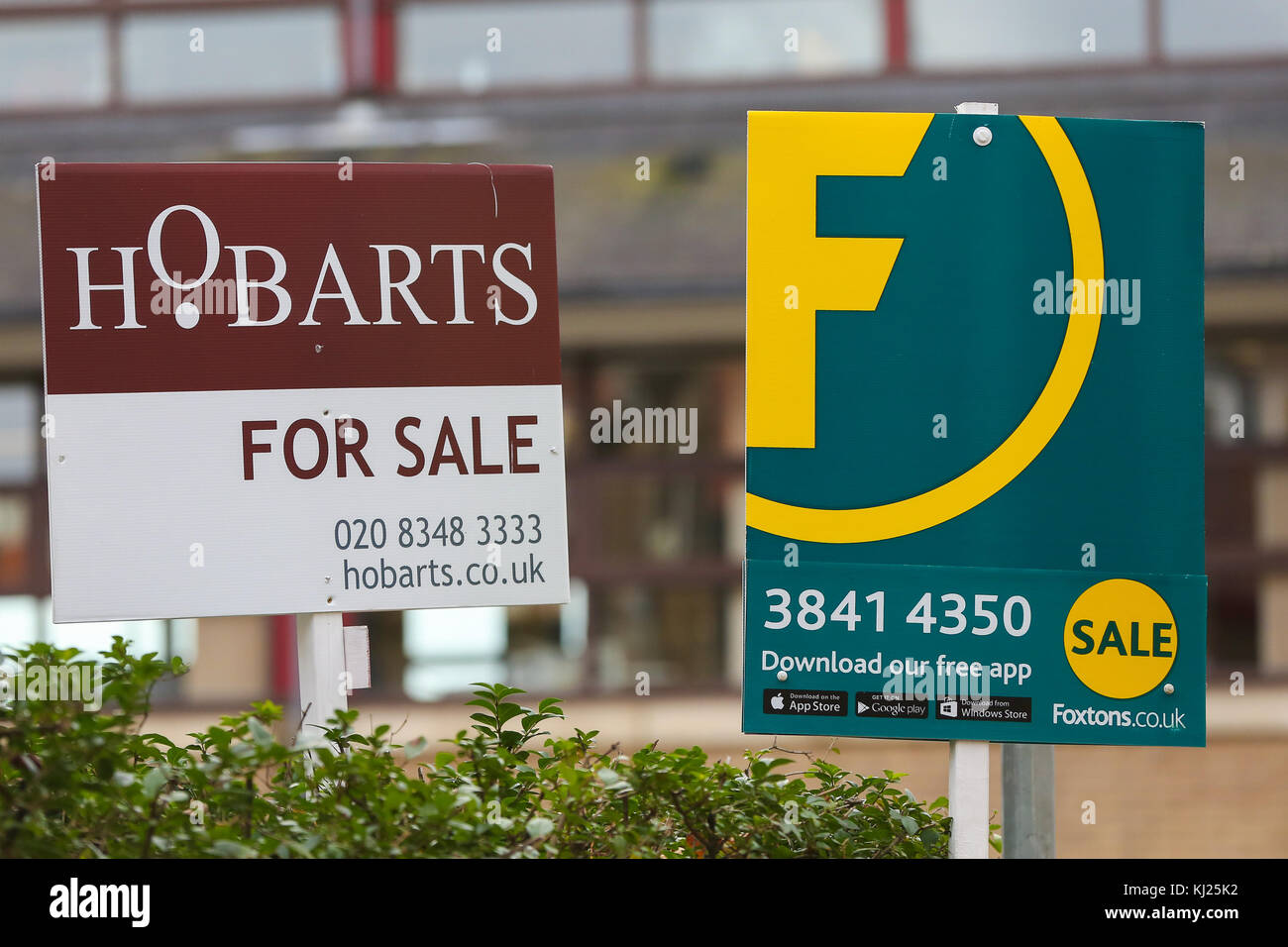 North London. UK 21 Nov 2017 - An estate agents' 'For Sale' marketing boards outside a North London property as Britain's Chancellor of the Exchequer Philip Hammond is expected to announce plans to build 300,000 homes every year, in his autumn budget on Wednesday, 22 November 2017. It has been reported in the Sunday Times newspaper that Philip Hammond will do 'whatever it takes' to meet this target. Stock Photo