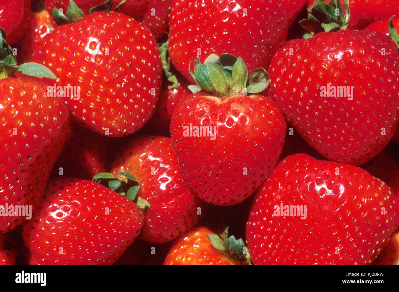 Strawberries close up Stock Photo - Alamy