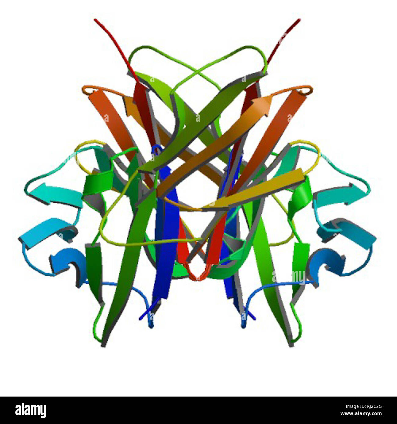 T Cell Surface Glycoprotein CD4 - PDB 1CDH Stock Photo