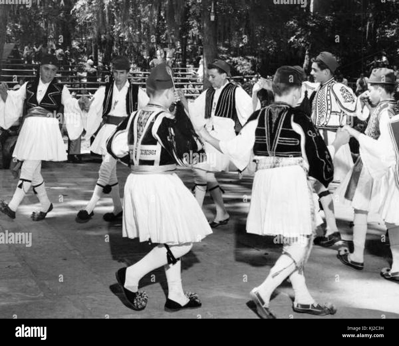 Tarpon illustration Black and White Stock Photos & Images Alamy