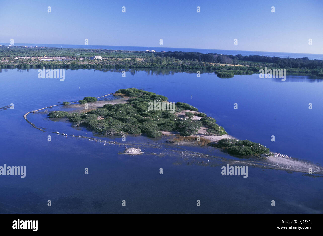 Aerial of pelican island national willdife refuge Stock Photo Alamy