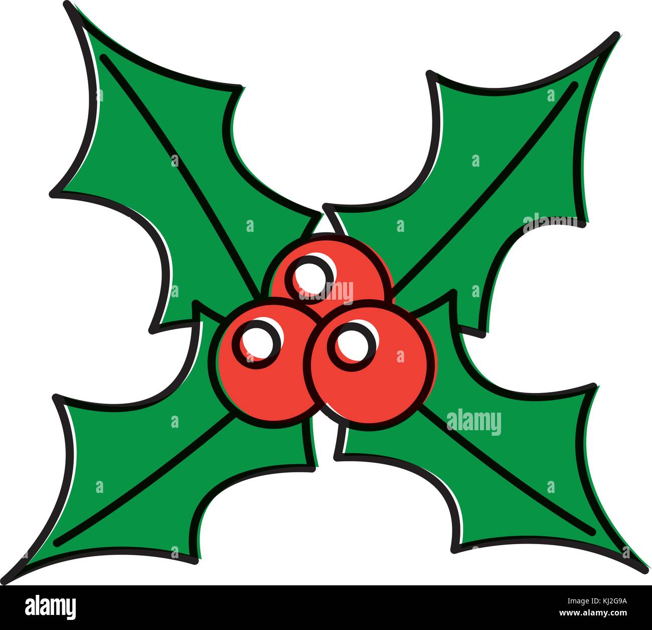 holly berries christmas related icon image Stock Vector Image & Art - Alamy