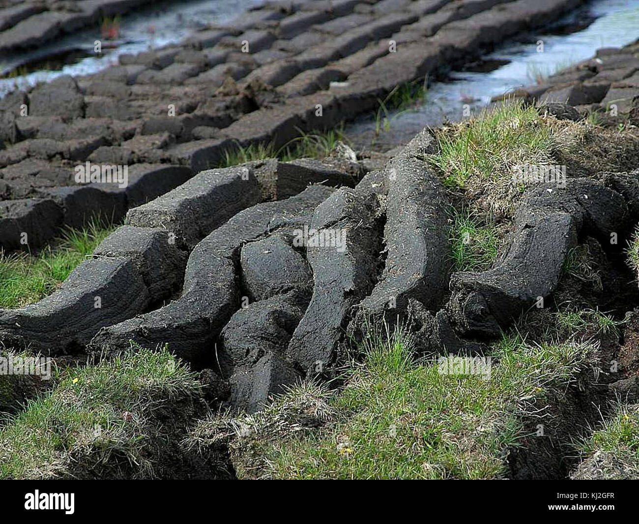 Field peat cutting Stock Photo Alamy