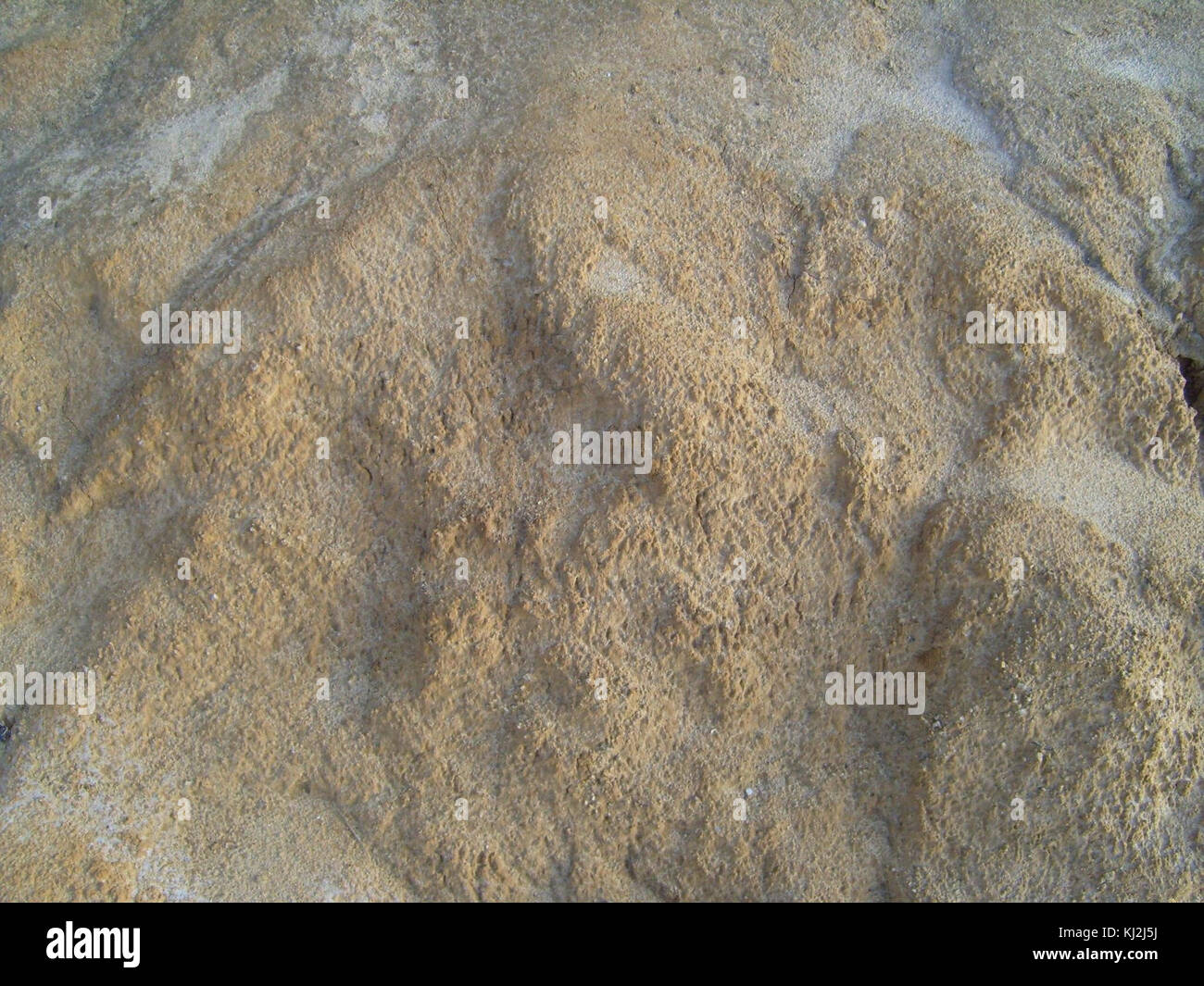 Compacted Sand Fill Compacted soil hi-res stock photography and images - Alamy