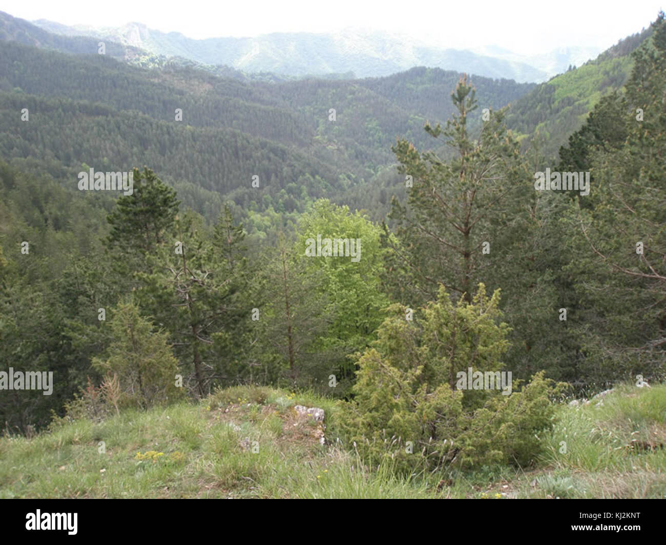 Paranesti hi-res stock photography and images - Alamy